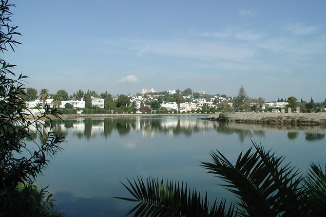 1/2 day carthage & sidi bou said - The drive from Tunis to ancient Carthage
