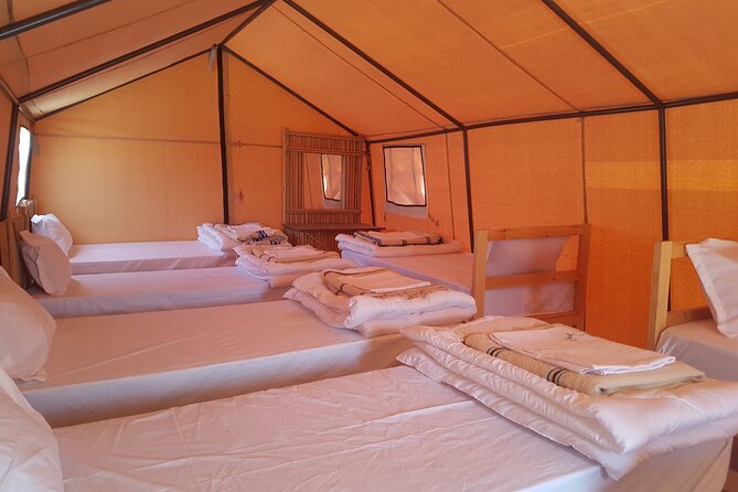 2-Day Tunisia Sahara Desert Camel Trek from Douz - Midday lunch beside the Sahara