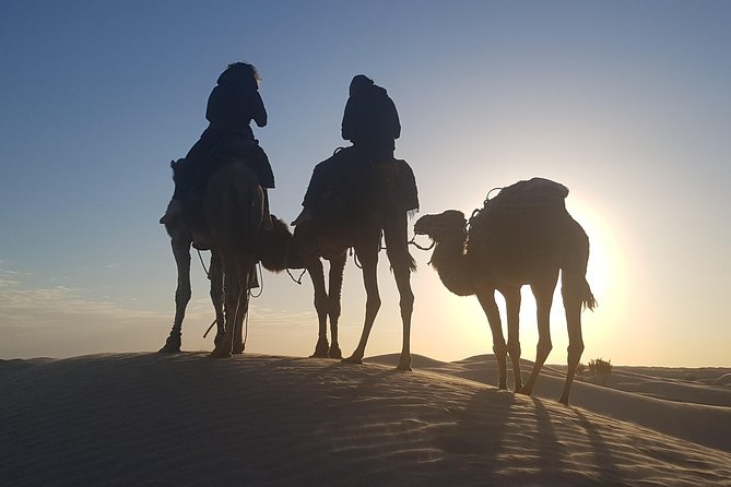 3-Day Tunisia Sahara Desert Camel Trek from Douz - Day 3: A quiet return to Douz
