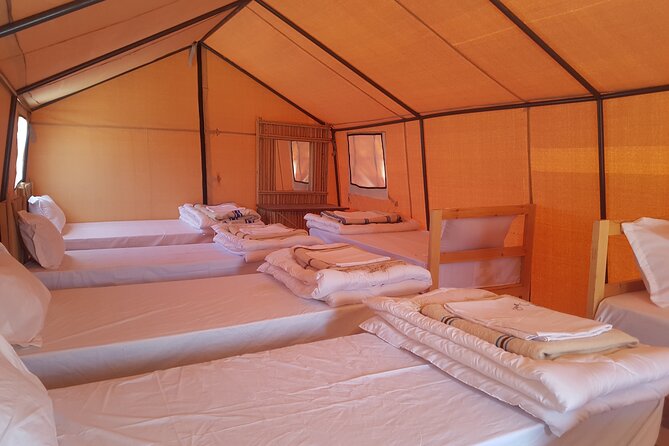 3-Day Tunisia Sahara Desert Camel Trek from Douz - Day 2: Sunrise, food traditions, and sunset from the dunes