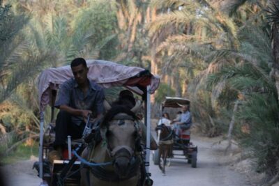 3DAYS 4×4 safari from Sousse/Hammamet/Tunis 100km deep in desert camp