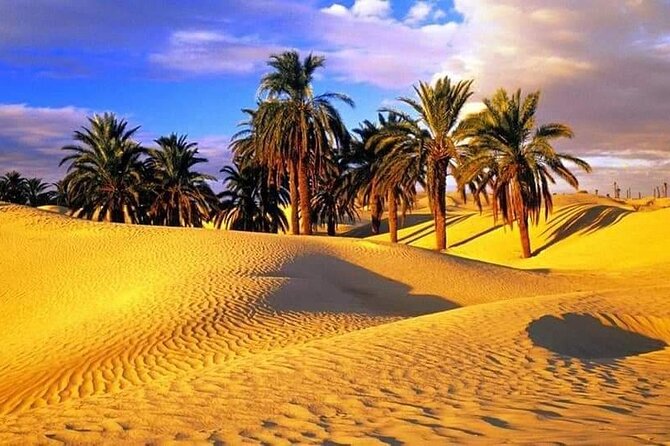 4-Day Private Tour: Sahara and Djerba Island from Tunis and Hammamet - Djerba supplies the sea and island contrast