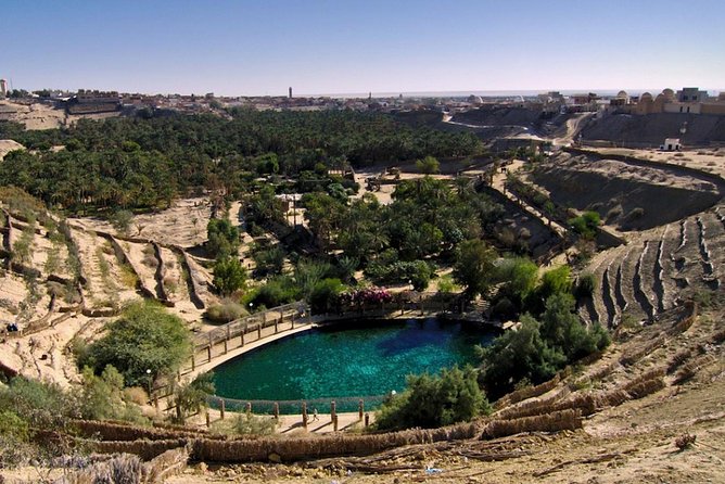 4 Days Tunisia Discovery Private Tour - Who will enjoy this Tunisia circuit