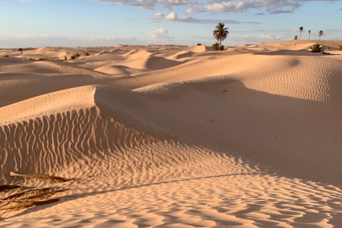 7 Day Guided Tunisia Tour Including Pickup - Key points before you book
