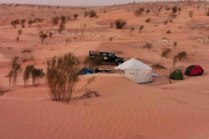 A Private Night at Desert Douz Tozeur - El Jem: a powerful first stop