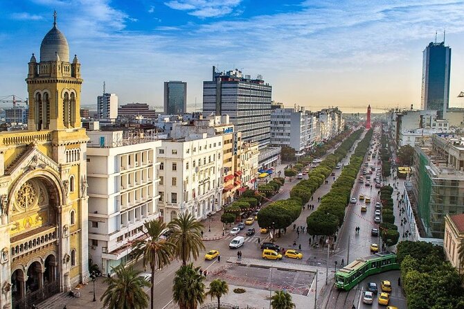 Airport Tunis Carthage Private Transfer to/from Hammamet - From Tunis Carthage Airport to Hammamet in one direct ride