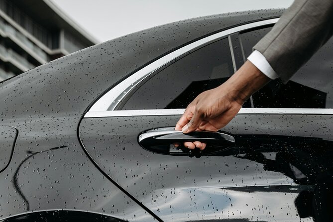 Airport Tunis Carthage Private Transfer to/from Hammamet - Who will appreciate this transfer most?