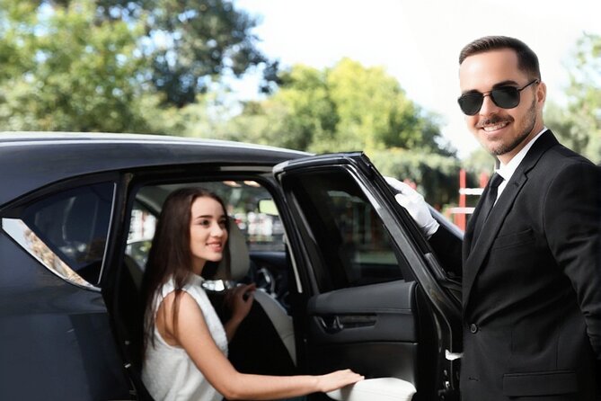 Airport Tunis Carthage Private Transfer to/from Hammamet - What the airport greeting should look like