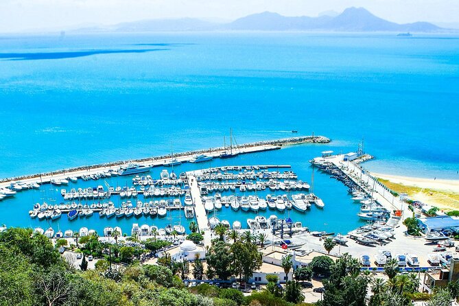 Ancient Carthage and Sidi Bou Said Half Day Tour with Lunch - The Baths of Antoninus show Carthage at Roman scale