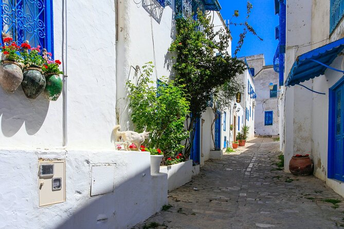 Ancient Carthage and Sidi Bou Said Half Day Tour with Lunch - What the guide adds to the day