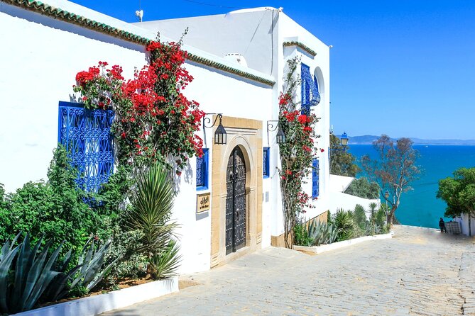 Ancient Carthage and Sidi Bou Said Half Day Tour with Lunch - The amphitheatre and Tophet add darker chapters