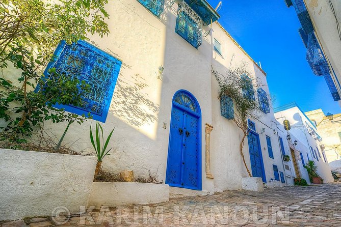 Bardo Museum- The ruins of Carthage- Village of Sidi Bou Said - The Bardo Museum: two hours with Tunisia’s finest collection