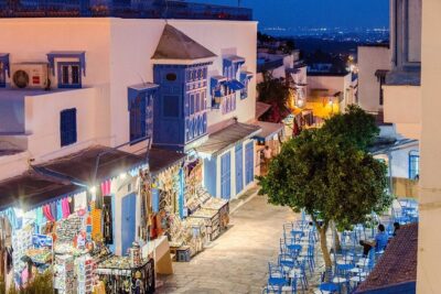 Bardo Museum- The ruins of Carthage- Village of Sidi Bou Said