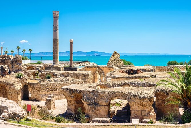 Bardo Museum with Medina, Carthage and Sidi Bou Private Tour - What the guide and driver add
