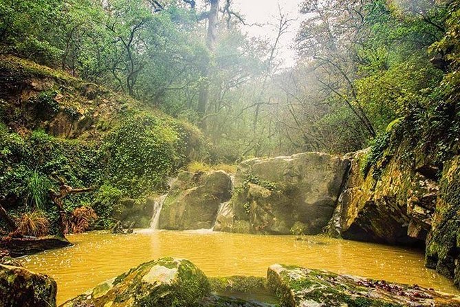 Bulla Regia and Beni Mtir Cascade Daytrip from Tunis - Why Bulla Regia is worth the drive from Tunis