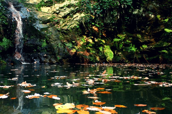 Bulla Regia and Beni Mtir Cascade Daytrip from Tunis - Beni M Tir brings a very different Tunisia