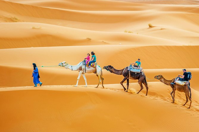 Camel & Quad Combo In Douz Sahara Desert - Leaving Douz for the Sahara at 8:00 am