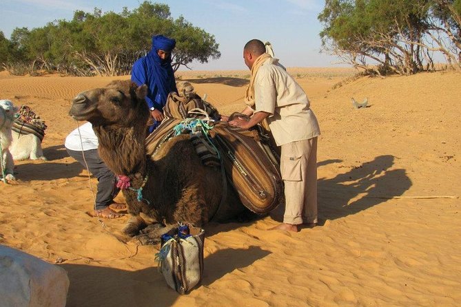 Camel ride and 1 night in the desert - Leaving Tozeur for Chott Djerid