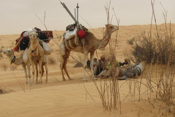 Camel ride and 1 night in the desert - Why the guide can shape the whole night