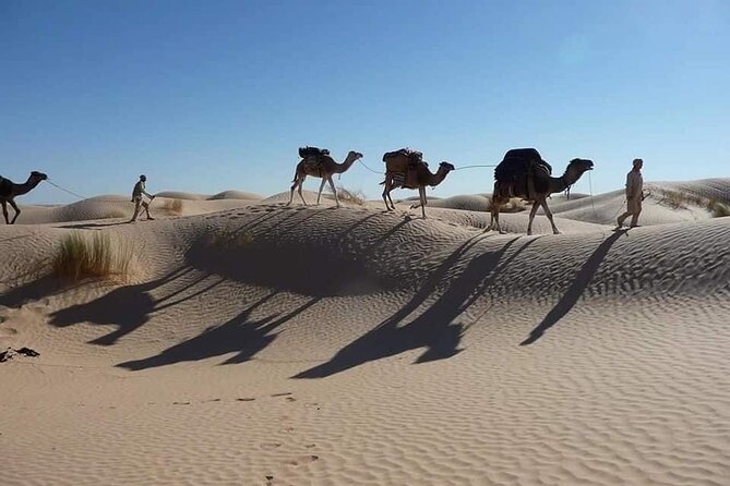 Camel ride and 1 night in the desert - Dinner, camp life, and a night under the stars