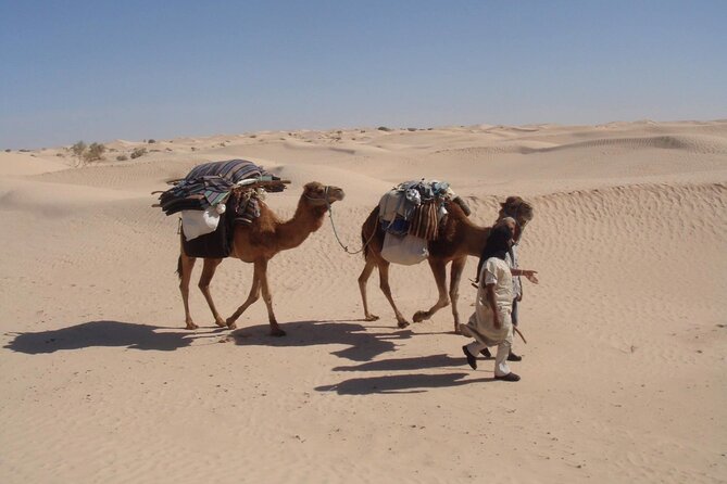Camel ride and 1 night in the desert - Breakfast and the return toward Tozeur