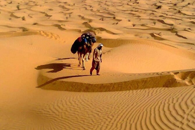 Camel ride and 1 night in the desert - What $207.20 per person buys you