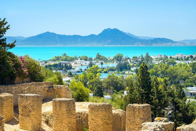 Carthage, Bardo Museum, Sidi Bou Said and Medina Private Day Tour - The day in five useful facts