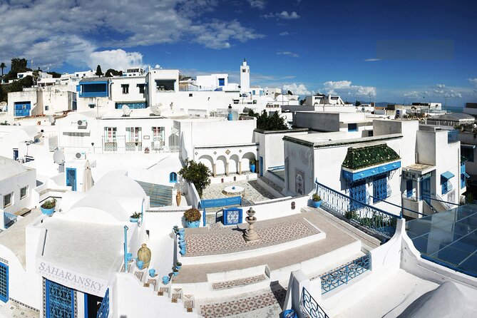 Carthage, Bardo Museum, Sidi Bou Said and Medina Private Day Tour - The Bardo Museum and its remarkable mosaics