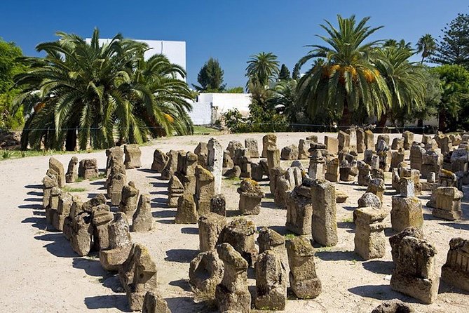 Carthage Discovery Half-Day Tour with Licensed Guide - Why a half-day is enough to get acquainted with Carthage