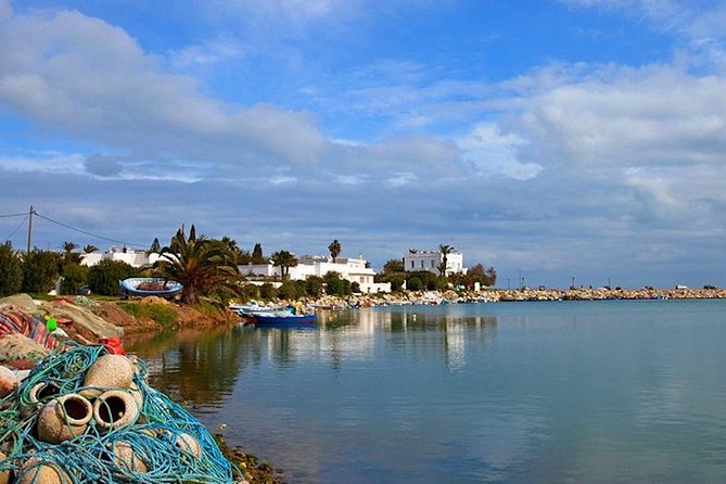 Carthage Discovery Half-Day Tour with Licensed Guide - Seeing the Punic Ports that powered the city