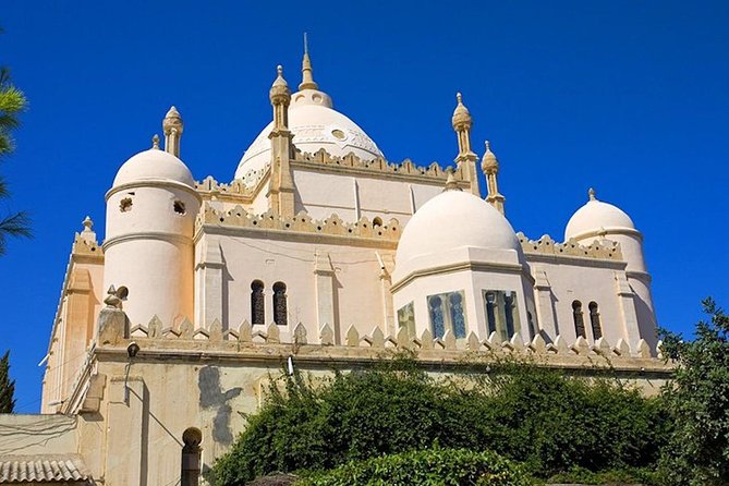 Carthage Discovery Half-Day Tour with Licensed Guide - What the private guide adds to the day