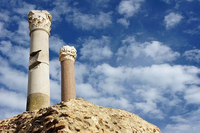 Carthage Discovery Half-Day Tour with Licensed Guide - Is $94.90 a fair price for this Carthage tour?