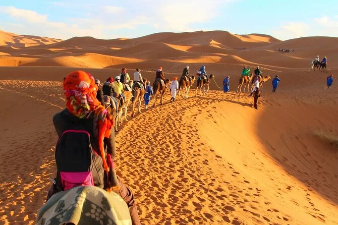Circuit the south of Tunisia in 2 days Sahara Explorer - El Jem and the Roman amphitheater