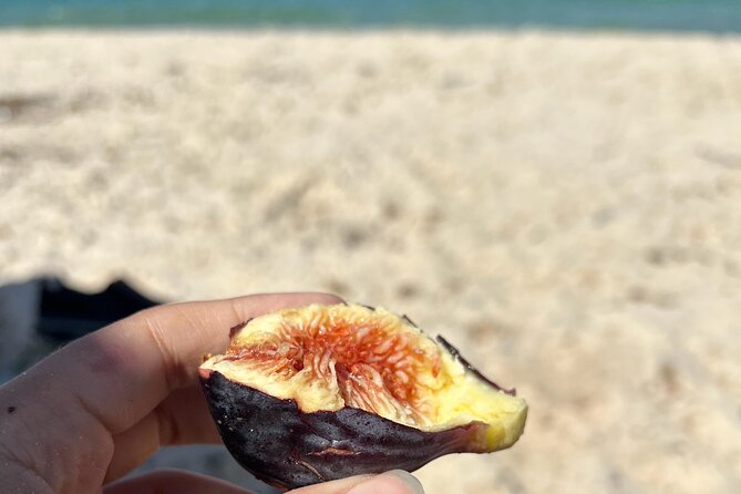 Cook and Connect: Tunisian Culinary Adventure with a Local Family - Ramadan timing needs special attention