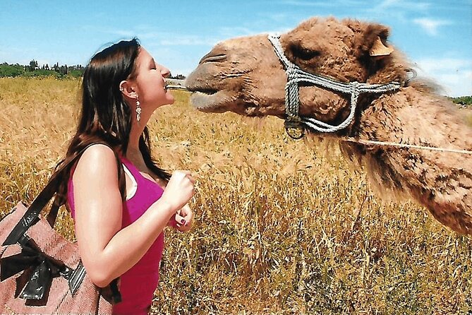 Cultural Experience of Bedouin Village in Mahdia - Key points before you book