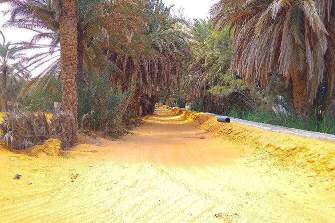 Day Trip in Ksar Ghilane with Lunch and Pickup - Key points to know before booking