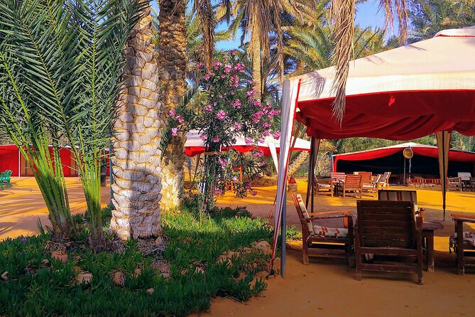 Day Trip in Ksar Ghilane with Lunch and Pickup - Who will get the most from this day
