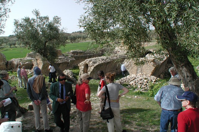 DAY TRIP TO Dougga & Bulla Regia , DEPARTURE FROM Tunis - Why the mosaics are the highlight at Bulla Regia