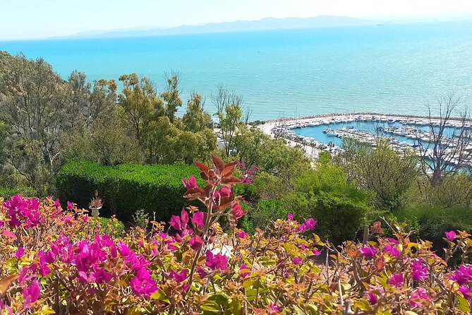 Daytrip Carthage Sidi Bousaid Bardo and Tunis Medina - The Punic Ports explain Carthage’s power