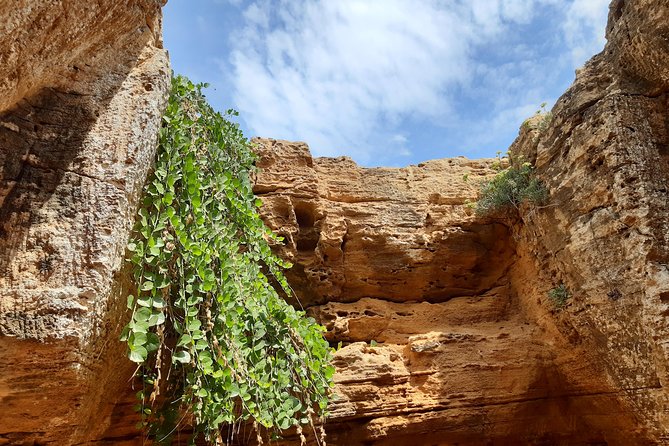 Daytrip to Kerkouen Unesco Site Kelibia and Houaria Caves - Key points before you book