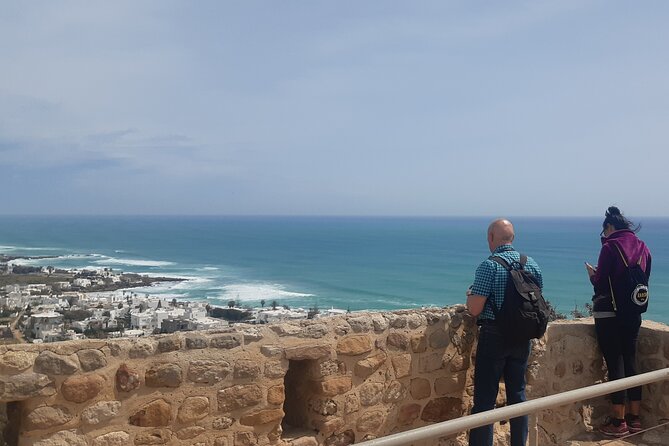 Daytrip to Kerkouen Unesco Site Kelibia and Houaria Caves - Echraf’s ancient olive tree