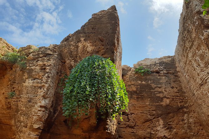 Daytrip to Kerkouen Unesco Site Kelibia and Houaria Caves - Ghar el Kebir and the Haouaria caves