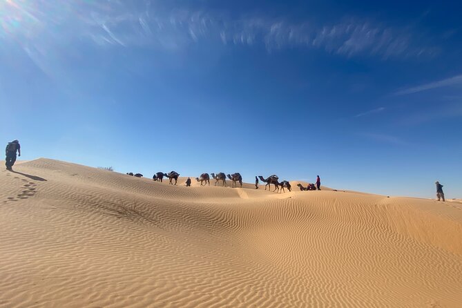 Desert tours and adventurous camel trekking through the Sahara - What this Sahara tour is really selling