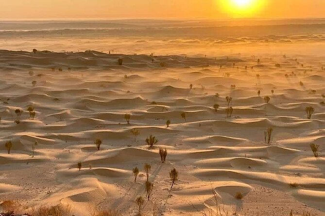 Desert tours and adventurous camel trekking through the Sahara - Day one: Douz, dates, and the first desert camp