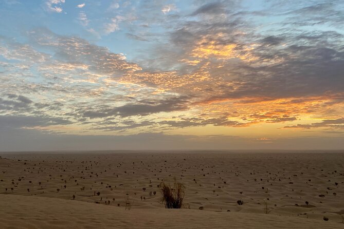Desert tours and adventurous camel trekking through the Sahara - How good is the $1,110.18 value?