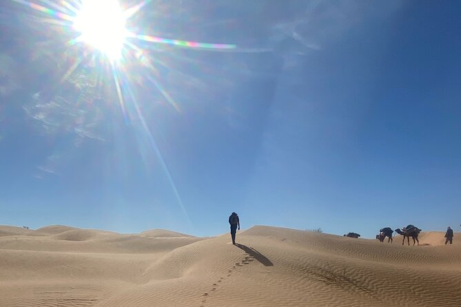 Desert tours and adventurous camel trekking through the Sahara - Returning on day seven: Douz and its traditional souks