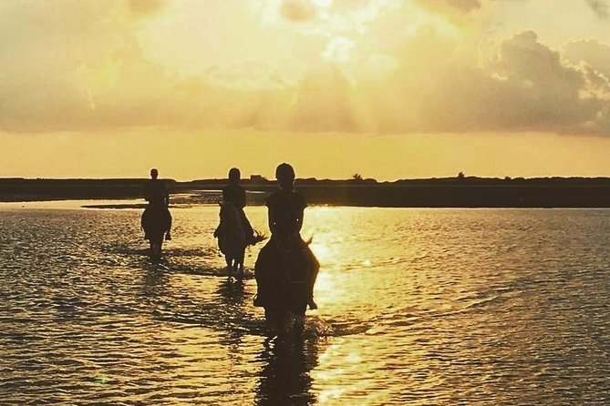Discovery ride on horseback or camel 2h30 - Key points at a glance