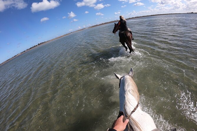 Discovery ride on horseback or camel 2h30 - Crossing the lagoon with your mount