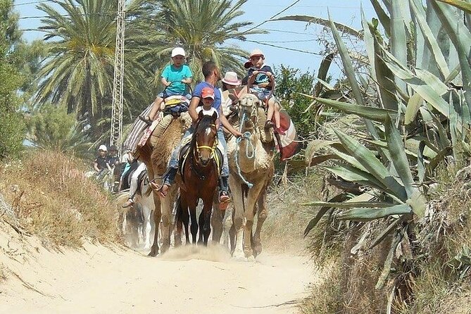 Discovery ride on horseback or camel 2h30 - Animal care and guide attention