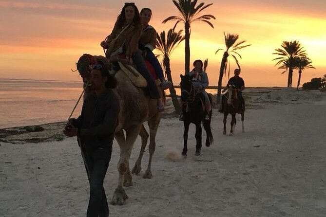 Discovery ride on horseback or camel 2h30 - Is $45.36 a fair price?